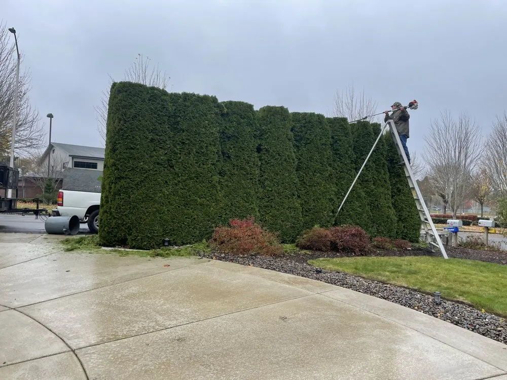 Professional landscaping services with custom design in Vancouver, WA by BAU NW Landscape