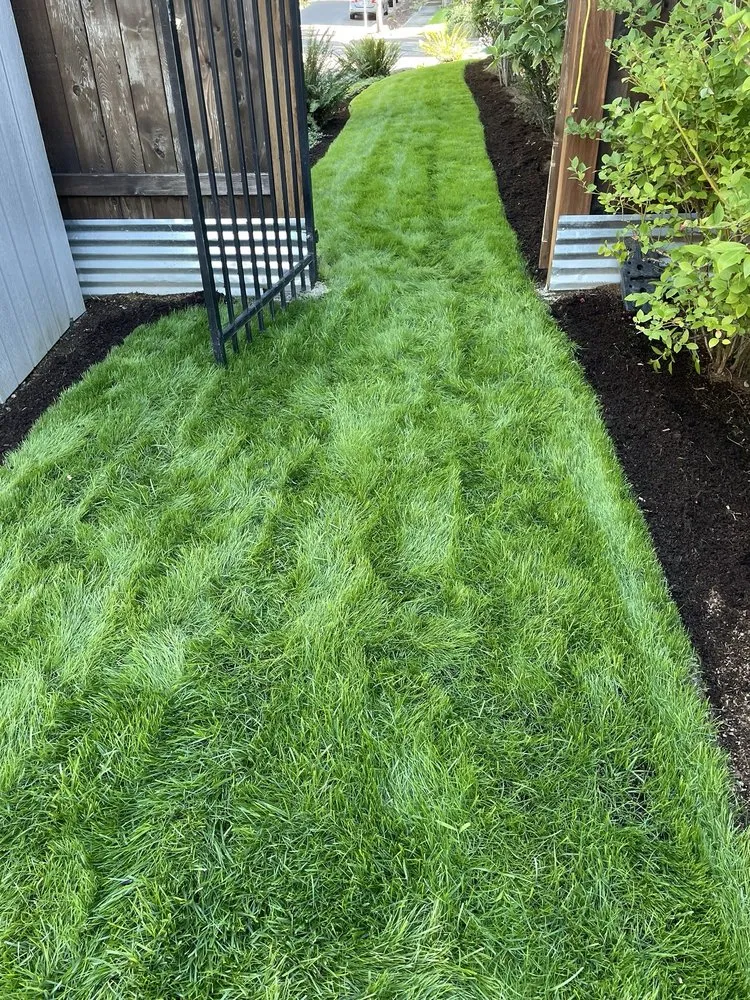 Custom lawn mowing service in Vancouver, WA - BAU NW Landscape