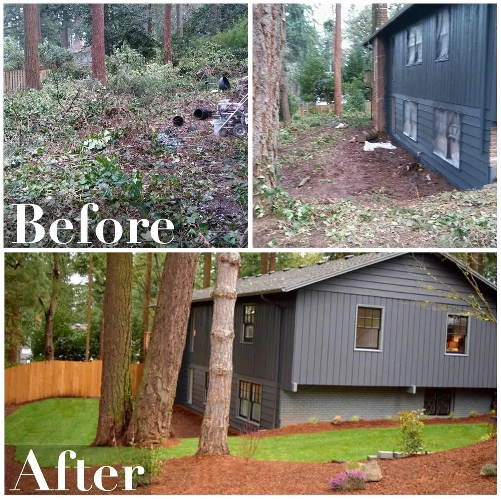 Affordable yard cleanup service in Vancouver, WA - BAU NW Landscape