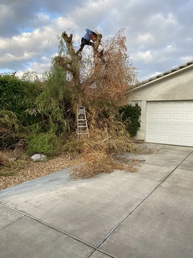 Affordable garden landscaping in Cathedral City, CA by Baudelio Aguilar