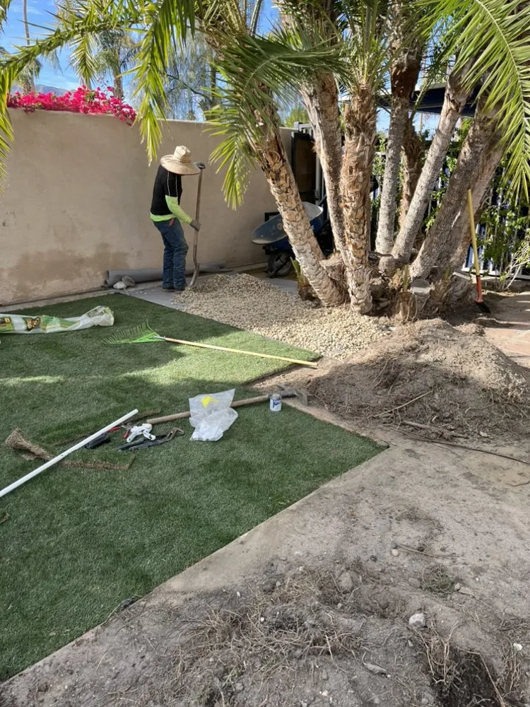 Professional yard maintenance in Cathedral City, CA by Baudelio Aguilar