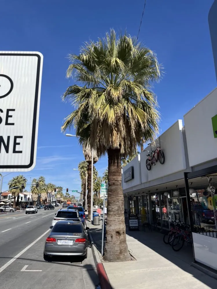 Affordable residential landscaping for outdoor upgrades in Cathedral City, CA by Baudelio Aguilar