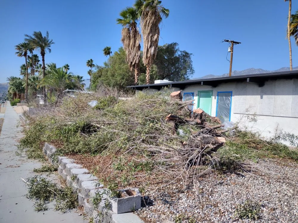 Affordable landscape installation experts serving Cathedral City, CA - Baudelio Aguilar