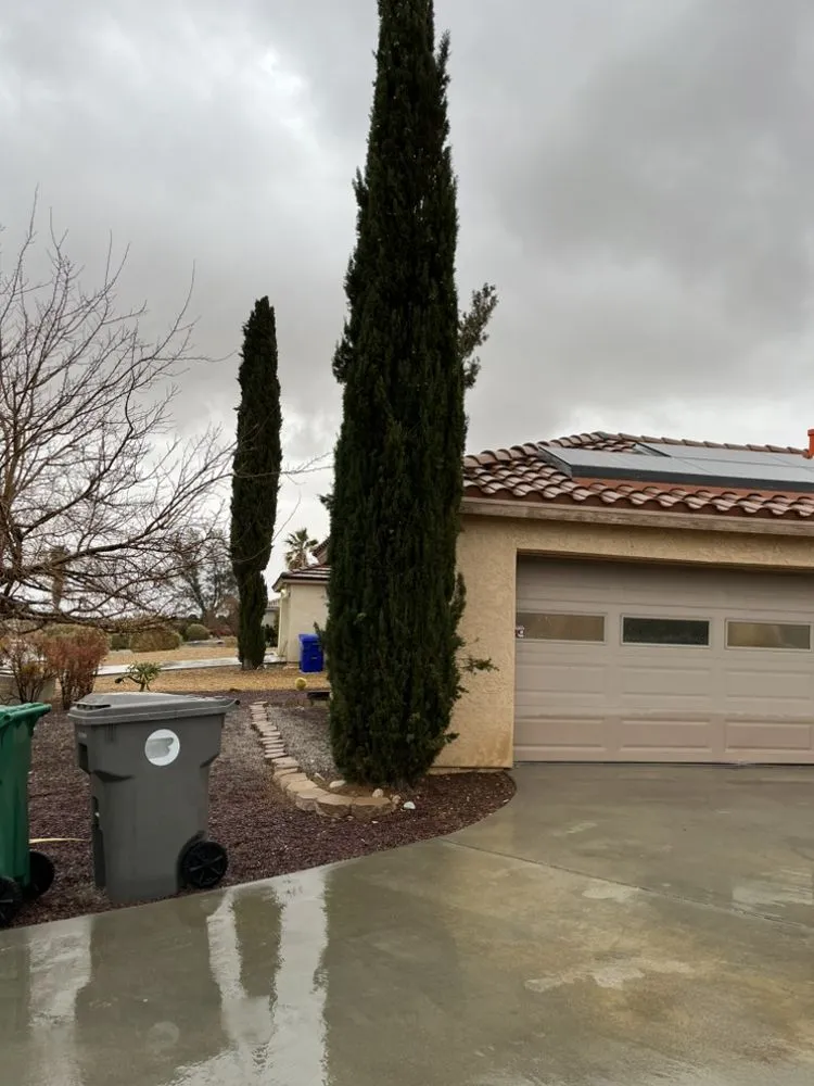 Top-rated residential landscaping in Cathedral City, CA by Baudelio Aguilar