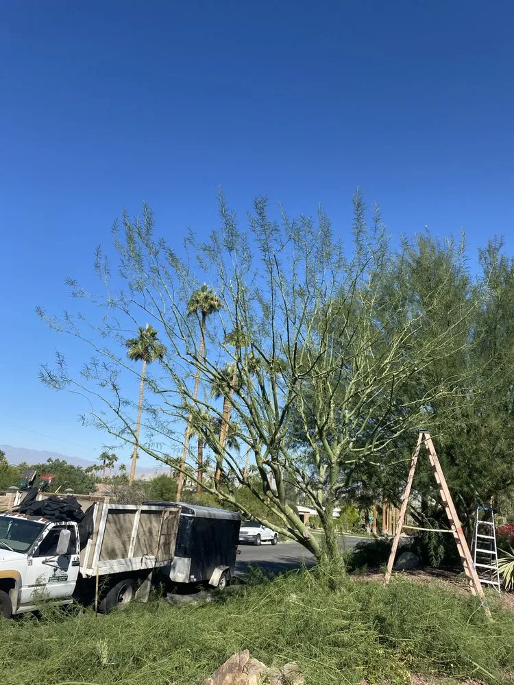 Local outdoor landscaping for outdoor upgrades in Cathedral City, CA by Baudelio Aguilar