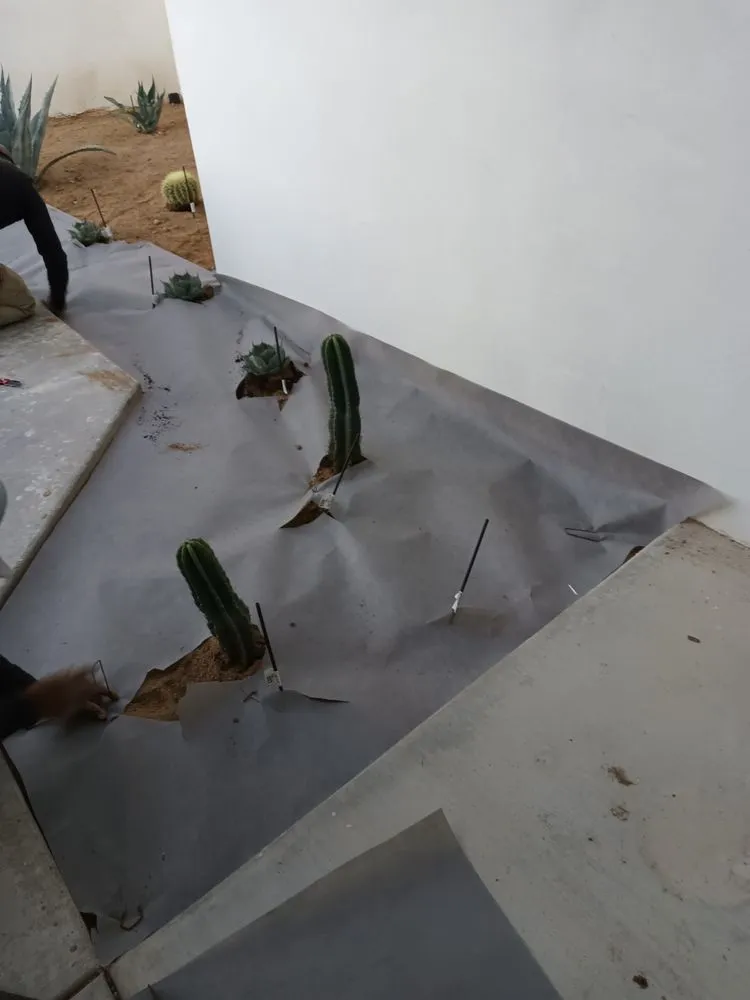 Affordable lawn mowing service for homes in Cathedral City, CA by Baudelio Aguilar