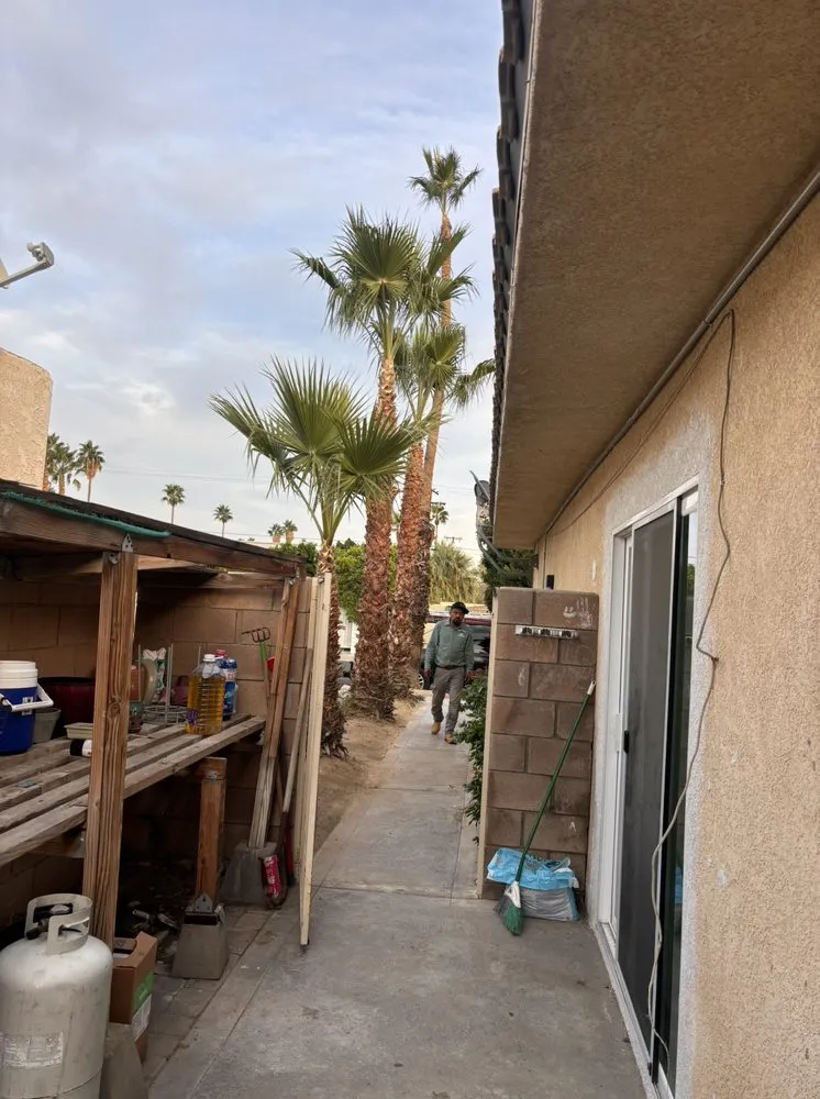 Expert landscape installation for year-round maintenance across Cathedral City, CA - Baudelio Gardening