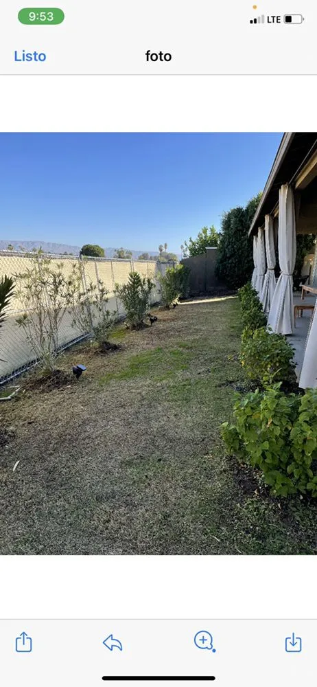 Local yard maintenance in Cathedral City, CA - Baudelio Gardening
