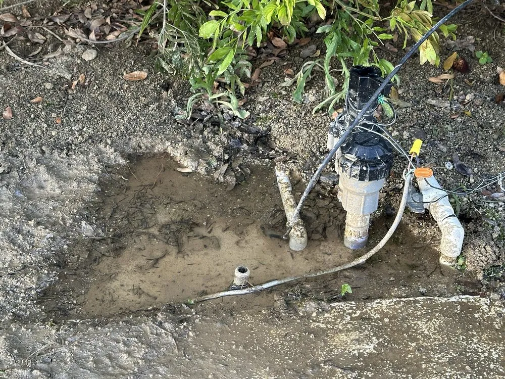 Custom landscape design in Cathedral City, CA by Baudelio Gardening