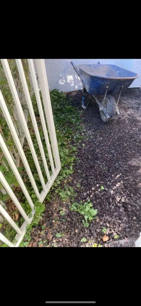 Reliable outdoor landscaping in Cathedral City, CA by Baudelio Gardening