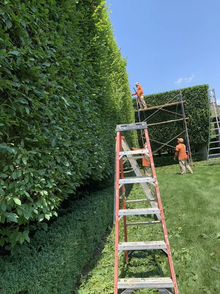 Local outdoor landscaping with custom design in Mount Kisco, NY by Baudi Landscaping