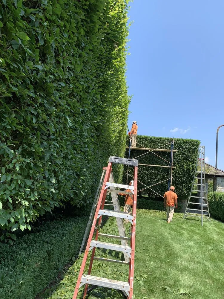 Trusted yard maintenance for beautiful yards in Mount Kisco, NY by Baudi Landscaping