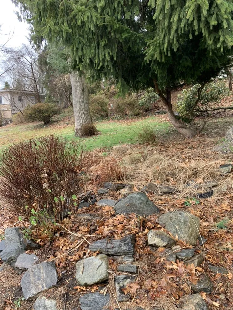 Affordable outdoor landscaping in Mount Kisco, NY - Baudi Landscaping