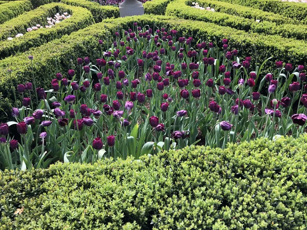 Professional residential landscaping for outdoor upgrades across Mount Kisco, NY - Baudi Landscaping