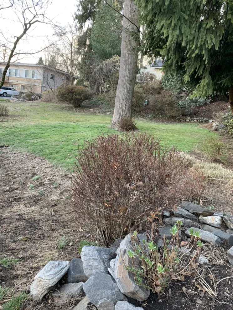 Trusted lawn mowing service in Mount Kisco, NY by Baudi Landscaping