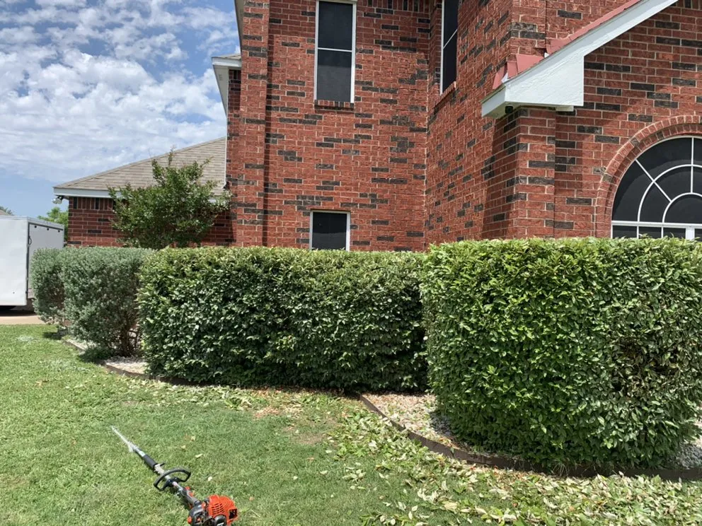 Custom landscape design experts serving Mesquite, TX - Bañuelos Landscaping