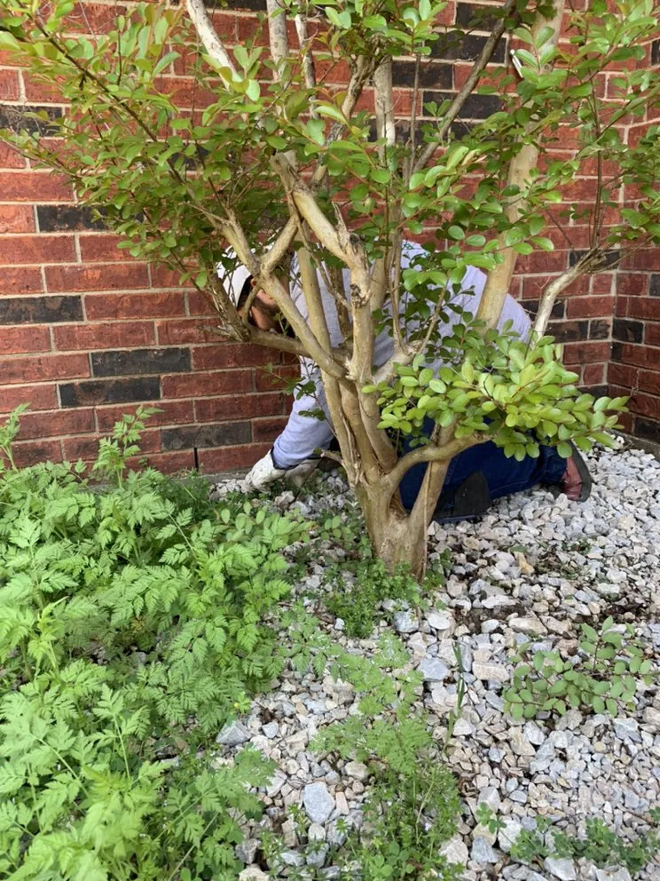 Professional residential landscaping in Mesquite, TX by Bañuelos Landscaping