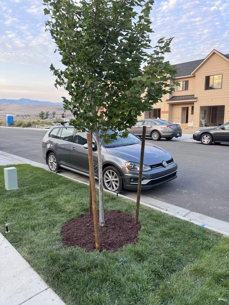 Top-rated garden landscaping in Missoula, MT by Bauen
