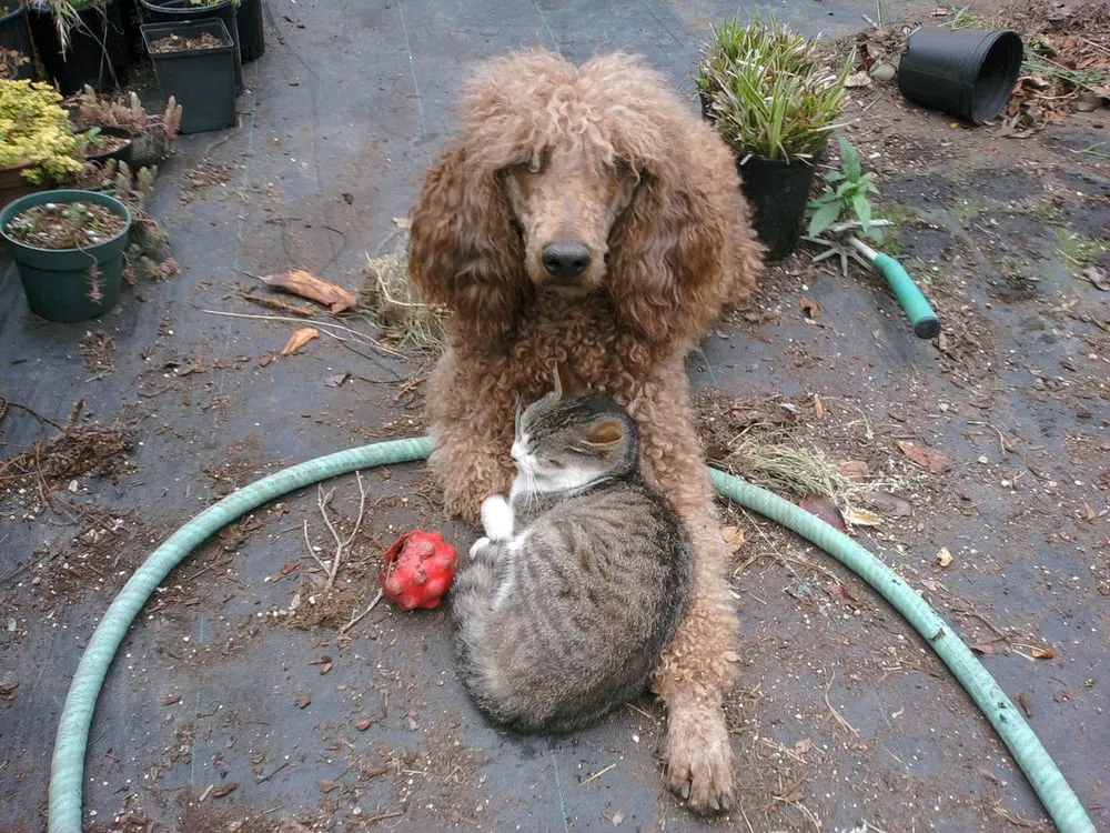 Trusted landscape installation experts serving Bandon, OR - Bauer Landscape