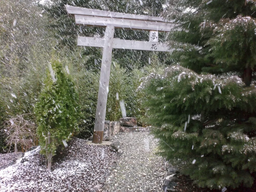 Local garden landscaping in Bandon, OR by Bauer Landscape