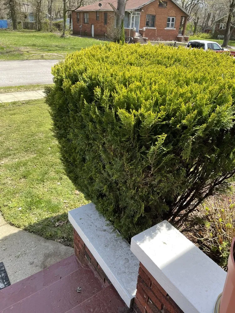 Reliable outdoor landscaping for residential properties across Mascoutah, IL - Bauer’s Care