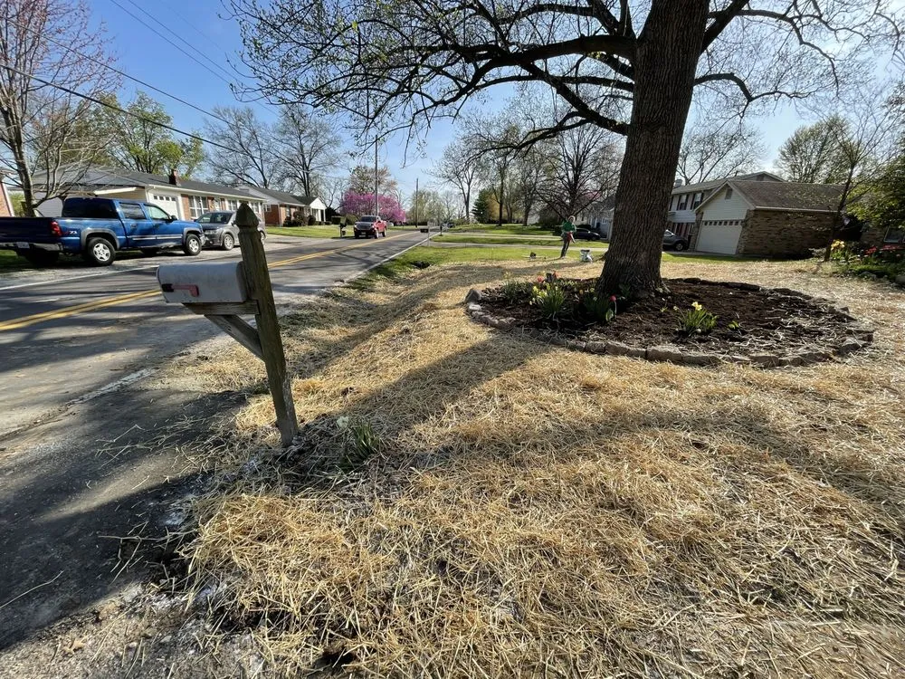 Custom residential landscaping experts serving Mascoutah, IL - Bauer’s Care