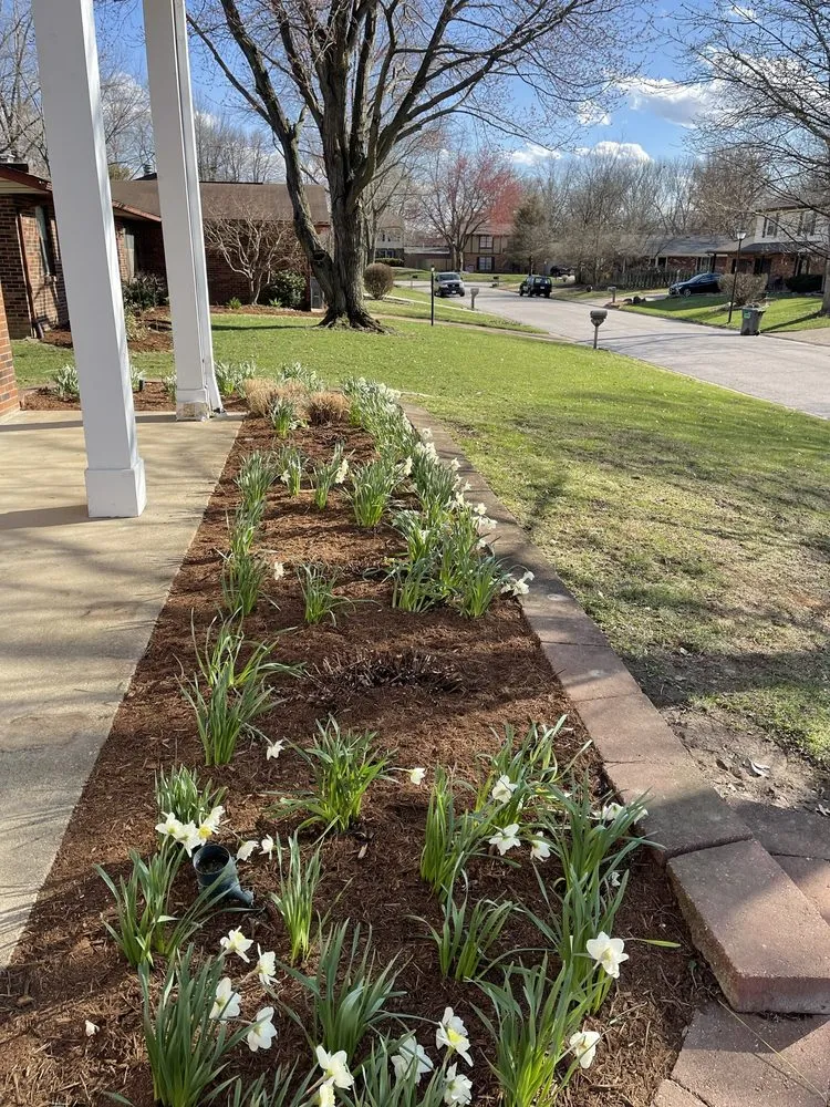 Affordable yard cleanup service for beautiful yards in Mascoutah, IL by Bauer’s Care