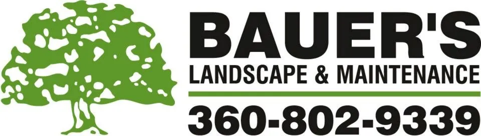 Expert yard maintenance in Enumclaw, WA by Bauer's Landscape & Maintenance
