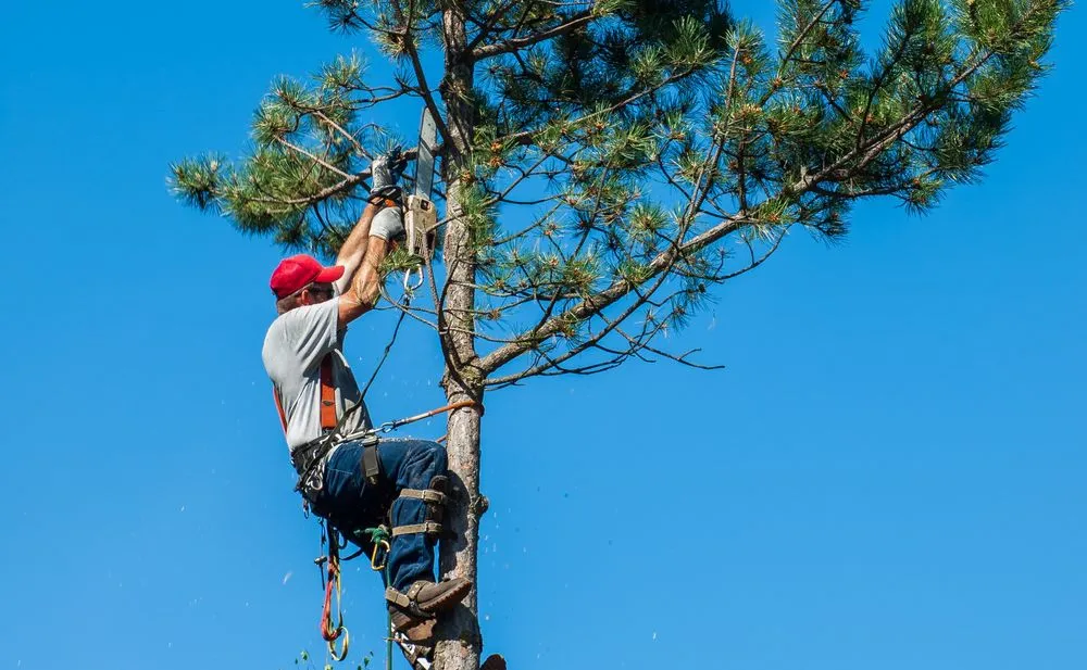 Trusted lawn mowing service with custom design across Enumclaw, WA - Bauer's Landscape & Maintenance