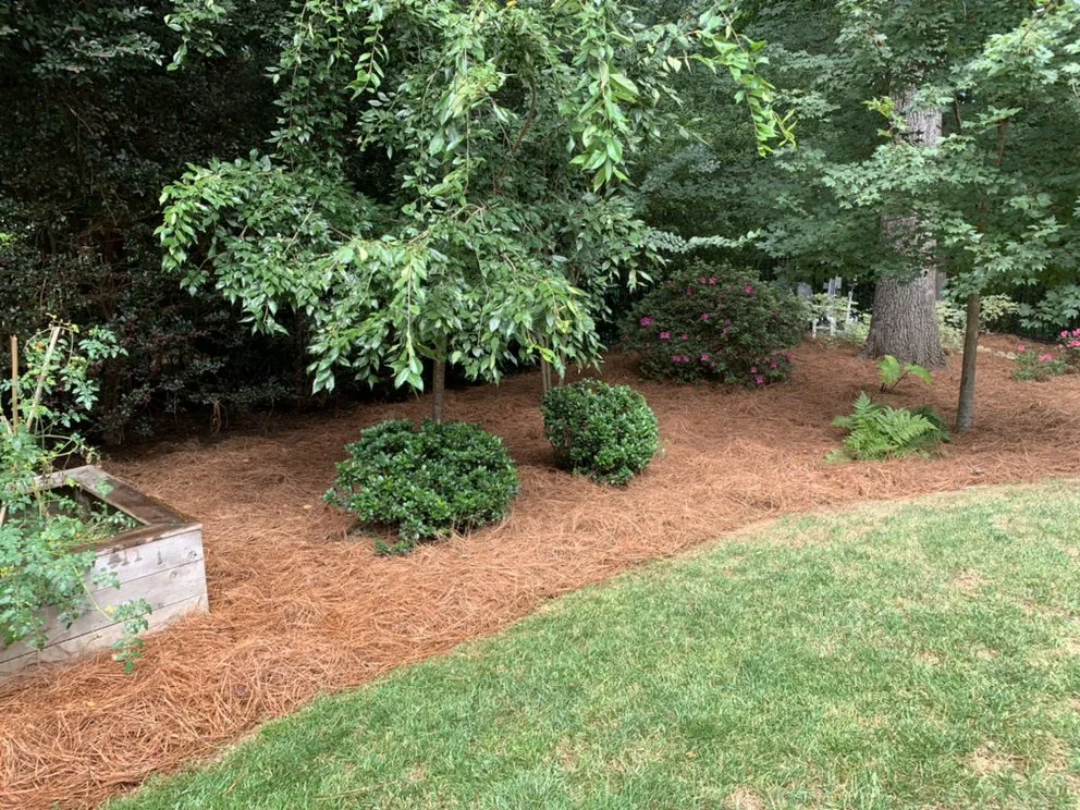 Affordable outdoor landscaping for residential properties across Waxhaw, NC - Bauer’s Lawn Care