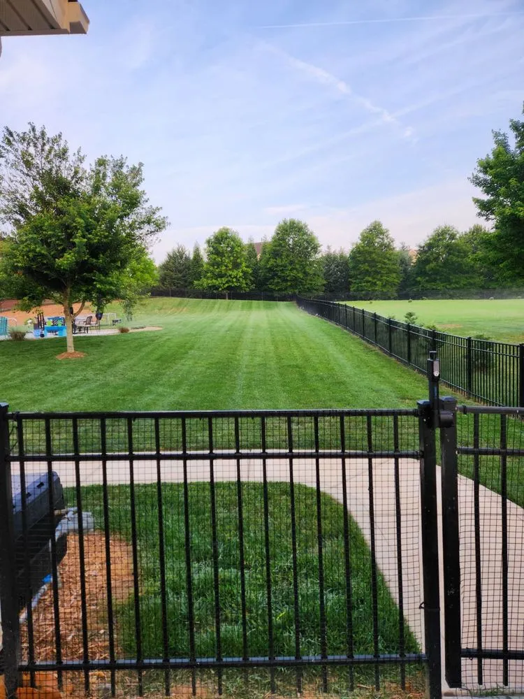 Expert landscape installation in Waxhaw, NC - Bauer’s Lawn Care