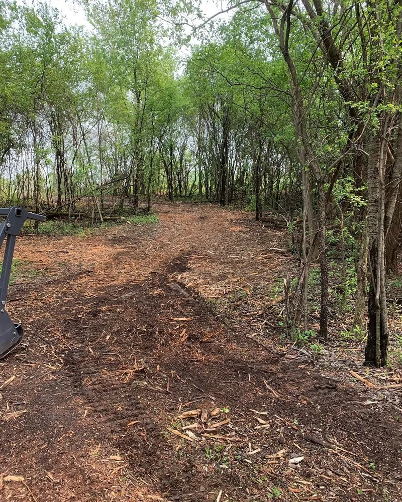 Top-rated lawn care service near you across Sussex, WI - Bauer’s LLC