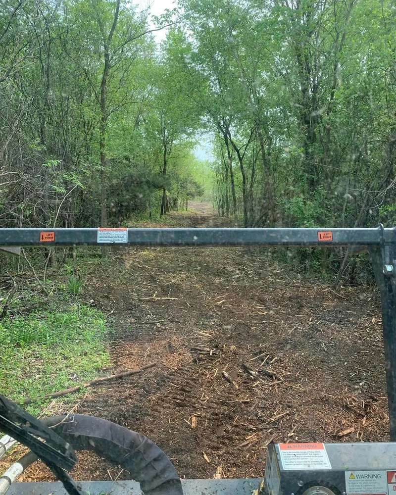 Reliable lawn care service for outdoor upgrades across Sussex, WI - Bauer’s LLC