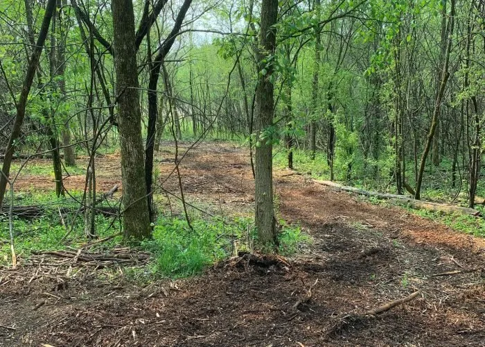 Custom landscape installation in Sussex, WI - Bauer’s LLC