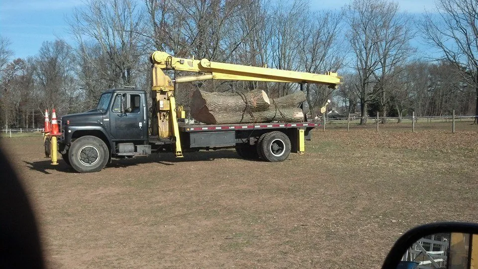 Affordable outdoor landscaping for residential properties across Ewing, NJ - Bauer's Tree Service