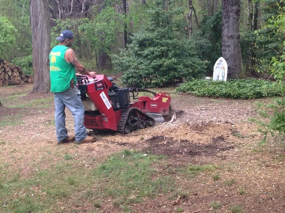 Affordable landscape design experts serving Ewing, NJ - Bauer's Tree Service
