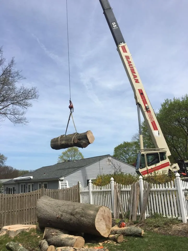 Top-rated garden landscaping in Ewing, NJ - Bauer's Tree Service