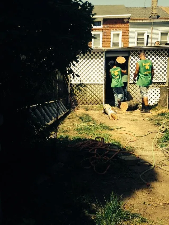 Expert garden landscaping in Ewing, NJ - Bauer's Tree Service