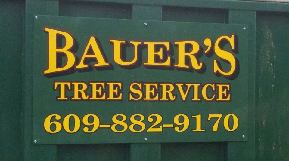 Professional lawn care service in Ewing, NJ by Bauer's Tree Service