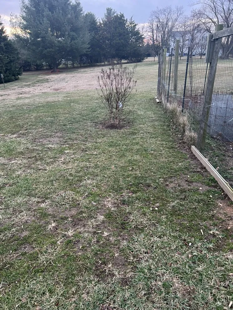 Custom landscape installation experts serving Ellicott City, MD - Baugher Lawn Care & Landscaping