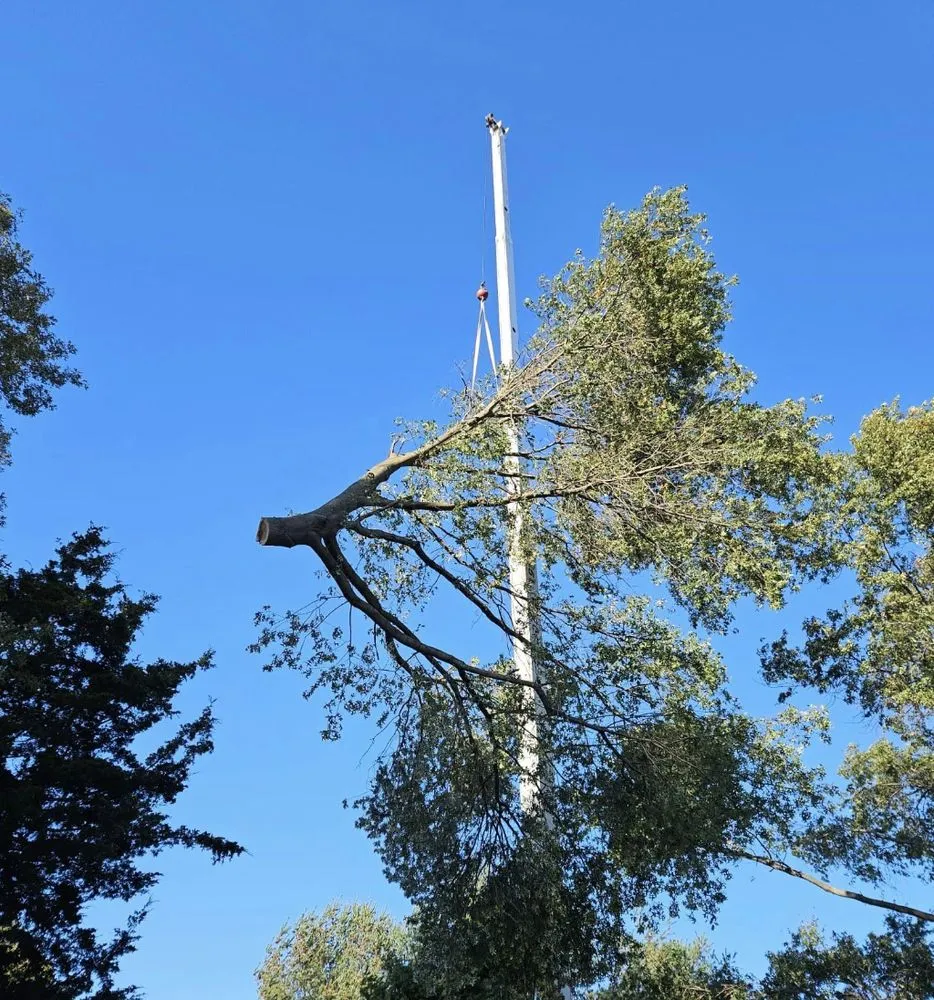 Reliable lawn care service in Wood River, IL - Baum Outdoor Services