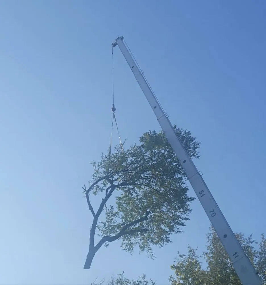 Reliable residential landscaping in Wood River, IL - Baum Outdoor Services