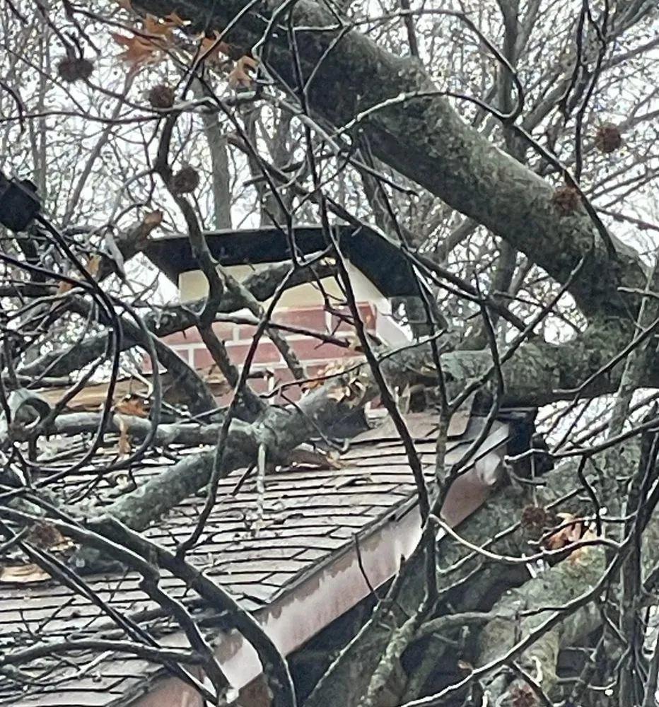 Expert yard maintenance in Wood River, IL - Baum Outdoor Services