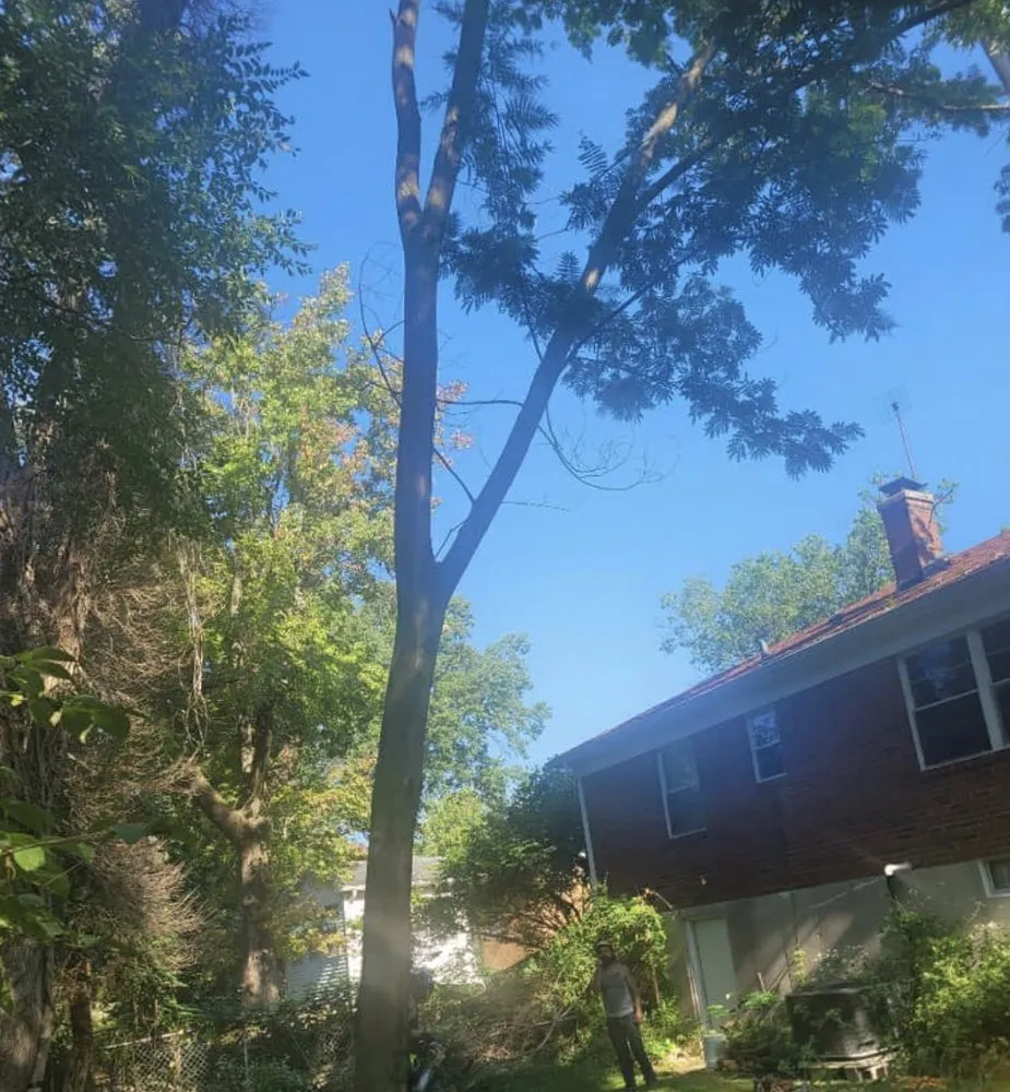 Affordable yard cleanup service for outdoor upgrades in Wood River, IL by Baum Outdoor Services