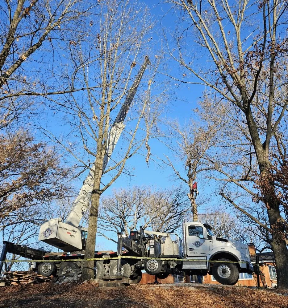 Affordable yard cleanup service experts serving Wood River, IL - Baum Outdoor Services