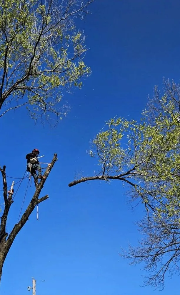 Local lawn mowing service experts serving Wood River, IL - Baum Outdoor Services