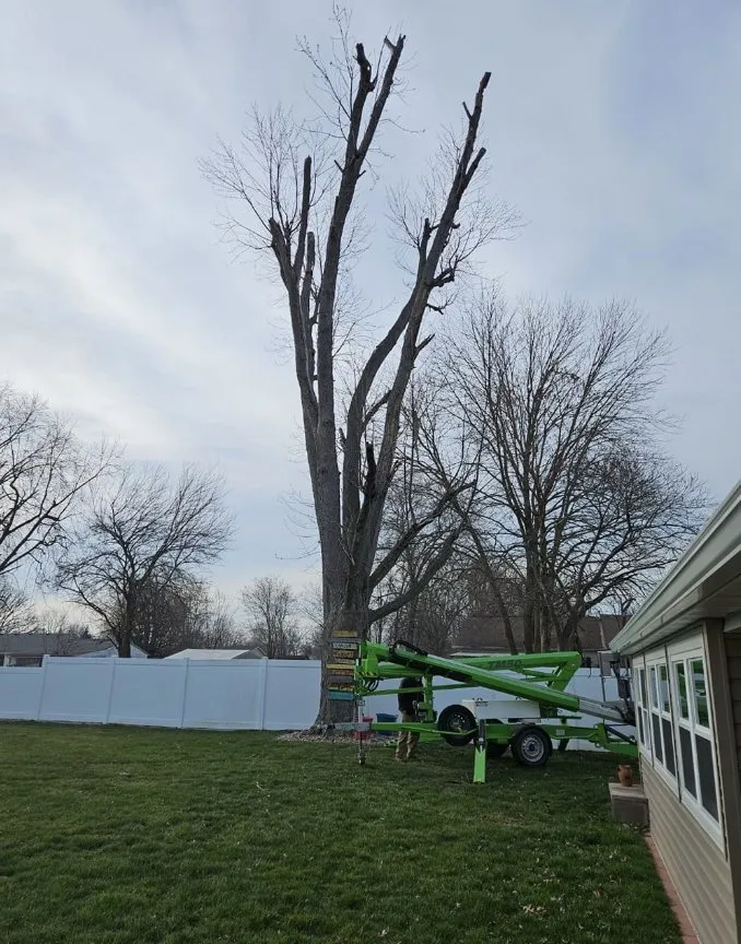 Top-rated garden landscaping for outdoor upgrades across Wood River, IL - Baum Outdoor Services