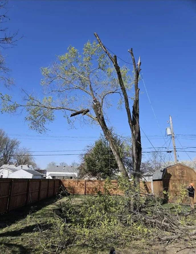 Affordable landscaping services in Wood River, IL - Baum Outdoor Services