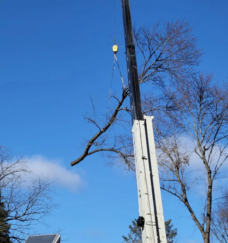 Top-rated outdoor landscaping in Wood River, IL - Baum Outdoor Services