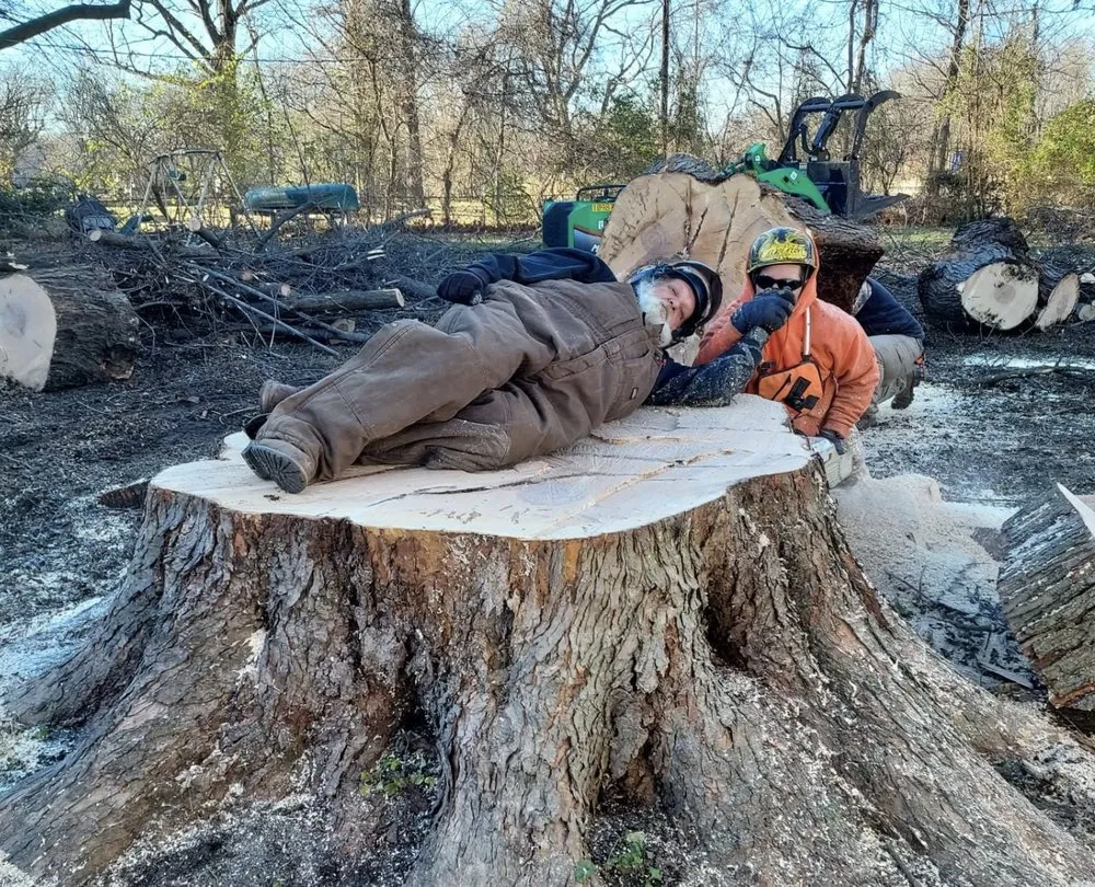 Affordable landscape installation for year-round maintenance across Wood River, IL - Baum Outdoor Services